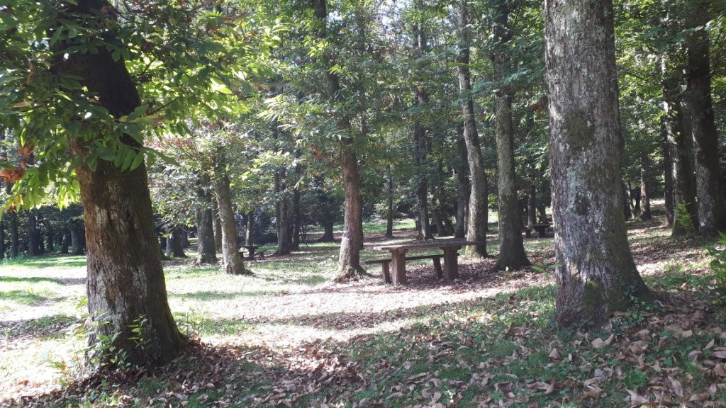 Parco Fonte Ontanese景点图片