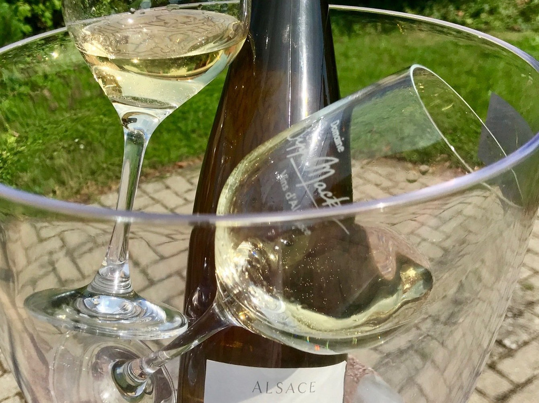 Sipp Mack Vins d'Alsace景点图片