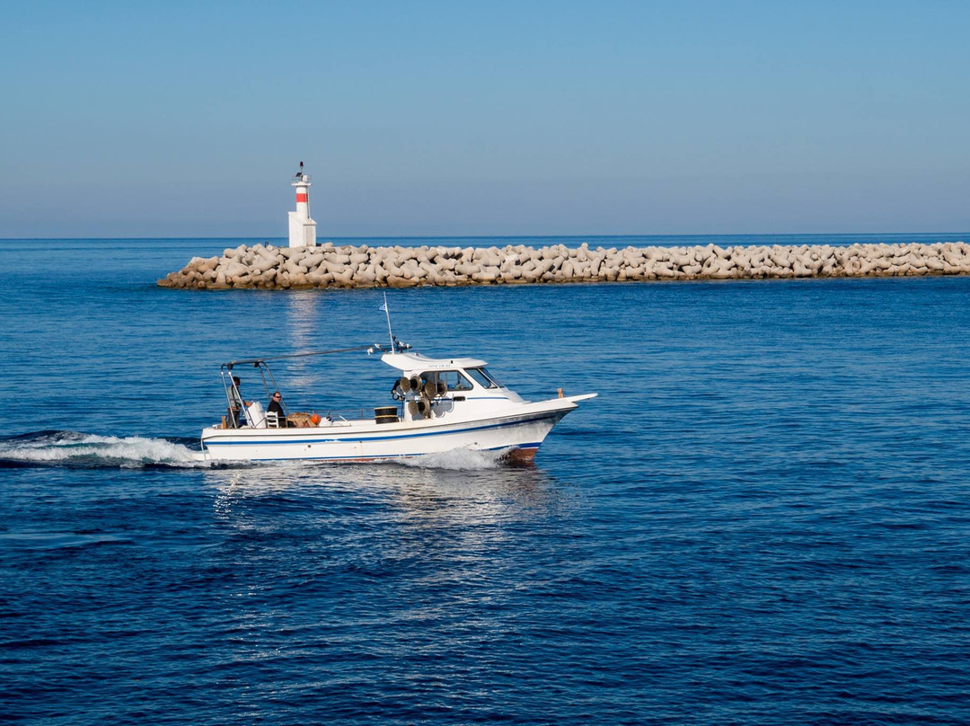 Lemnos Fishing Trips景点图片