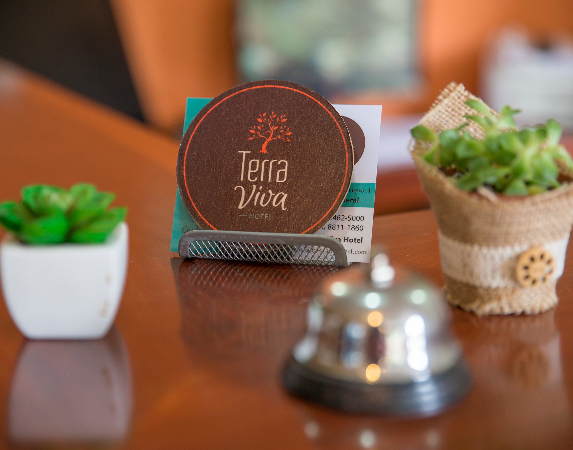 Terra Viva Hotel-官方