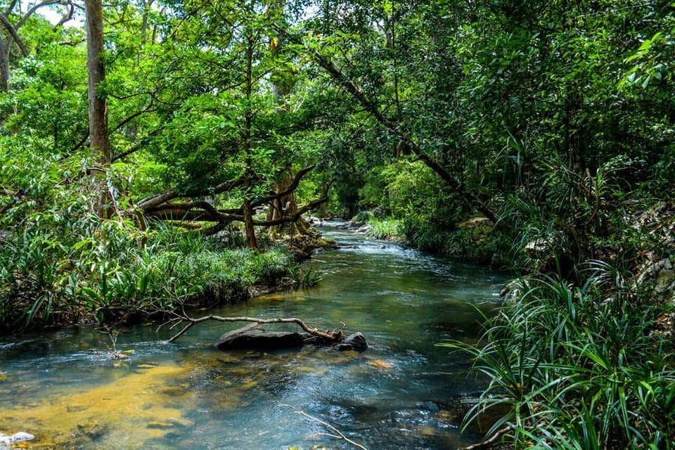 Paasi Ella Resort-官方