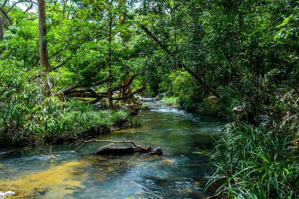 Wellawaya酒店住宿-Paasi Ella Resort