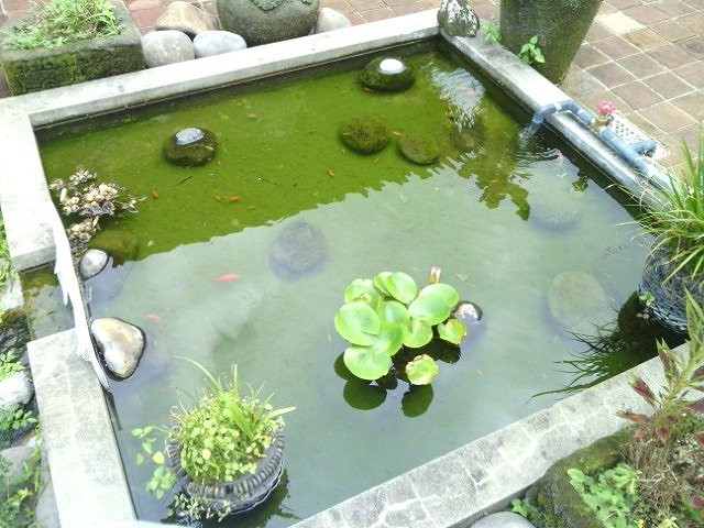 Hanano Bandai-山鹿市必去景点