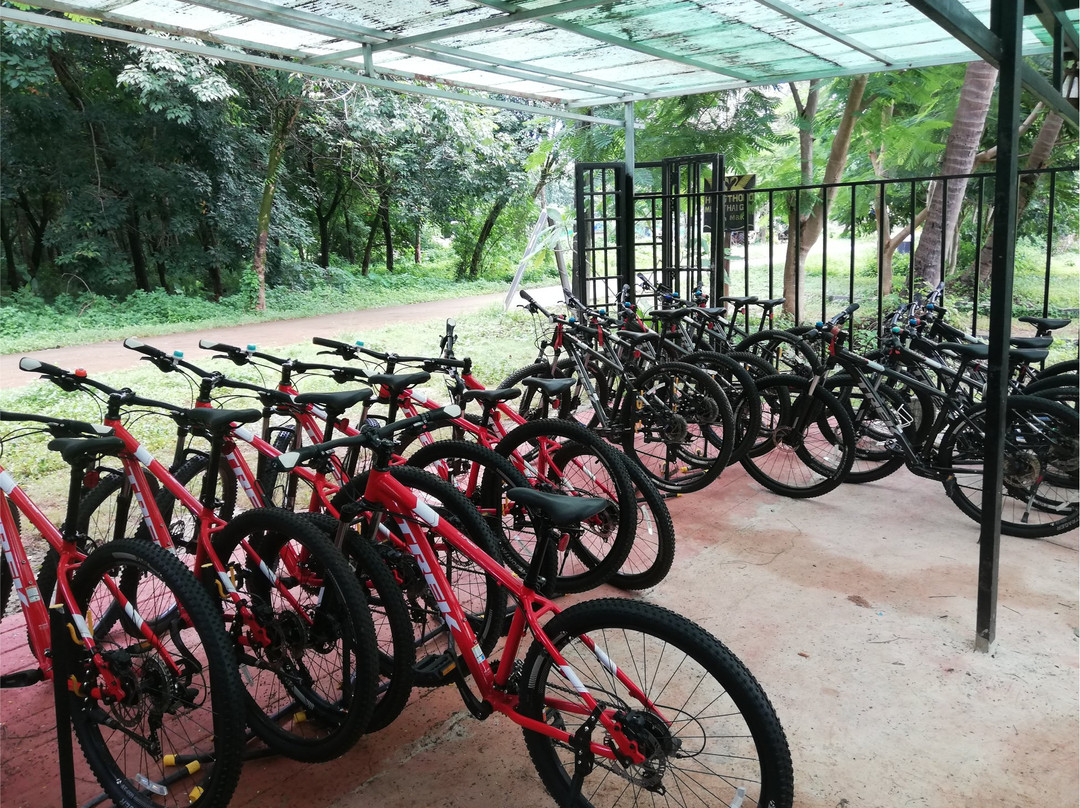 Koh Mak Information & Bike Rental-玛岛必去景点
