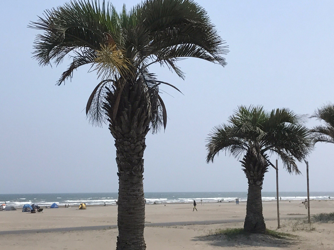 Motosuka Beach-山武市必去景点