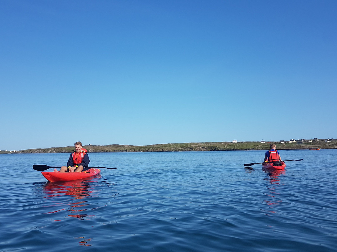 Schull Sea Safari-Schull必去景点