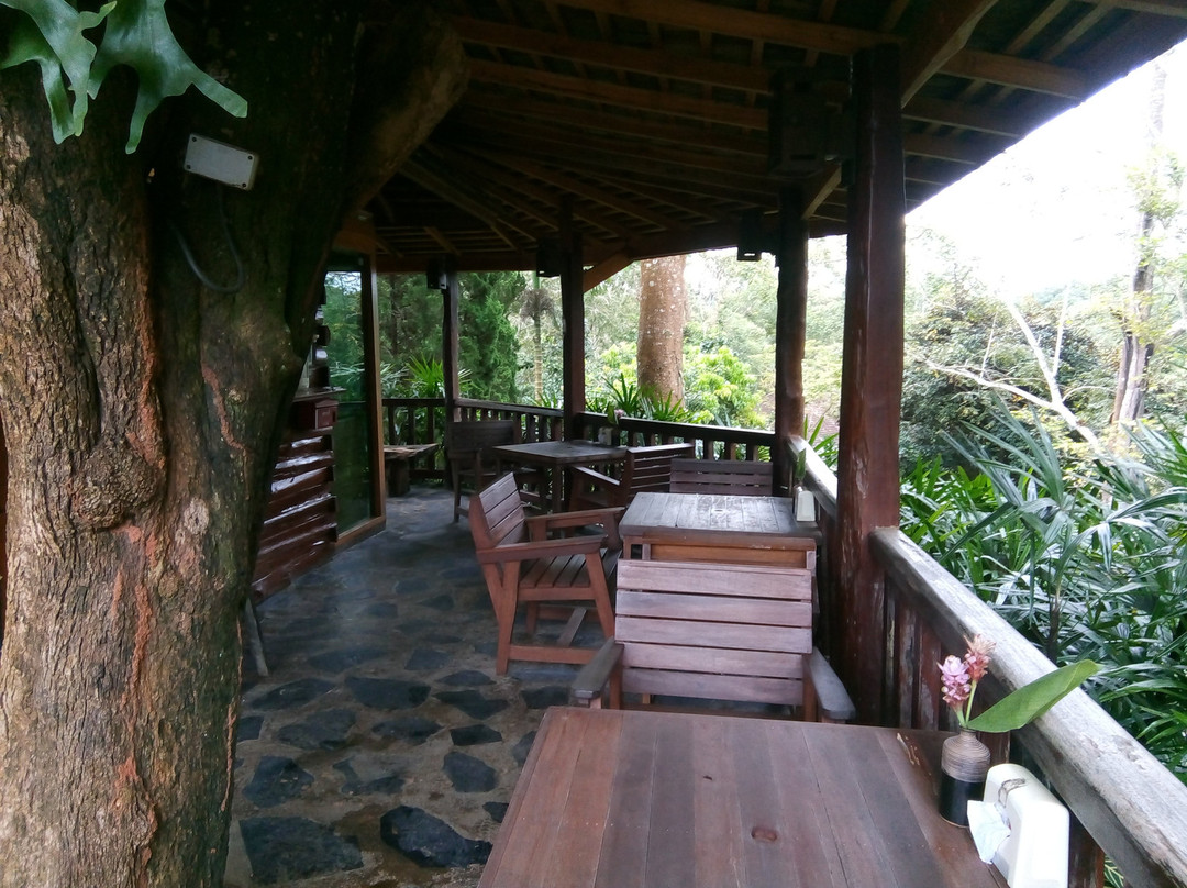 32 Coffee Hill & Resort主图