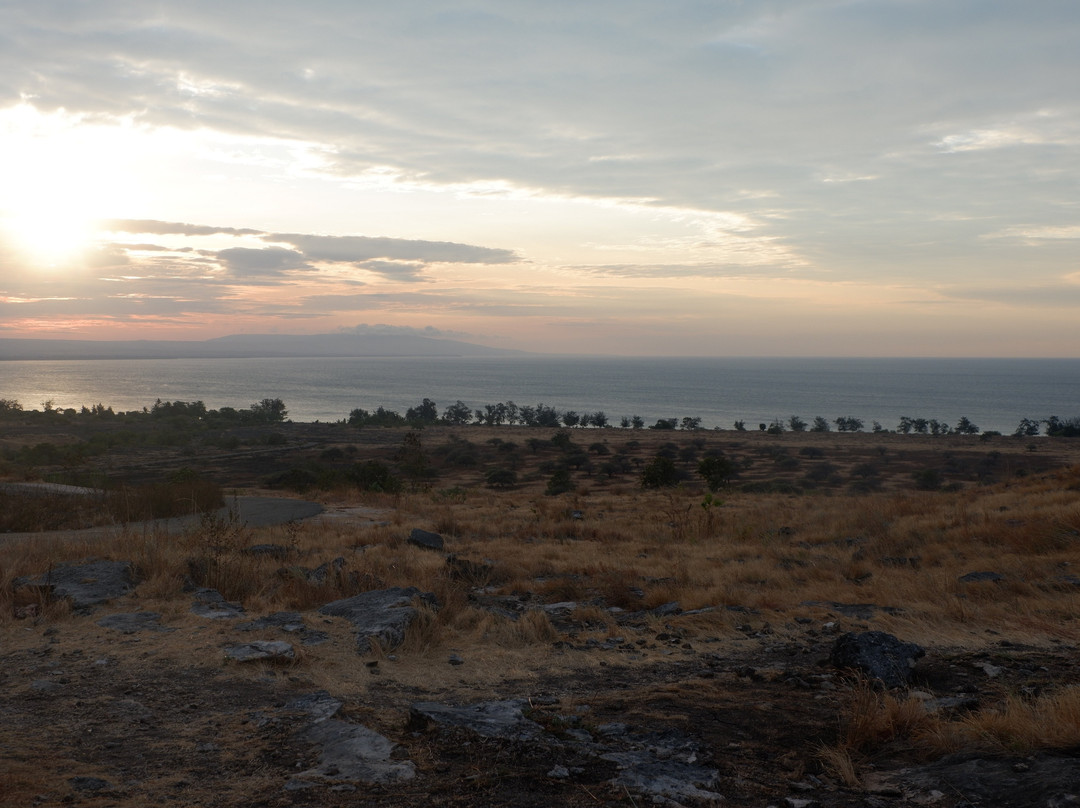 Savana Puru Kambera-松巴岛必去景点
