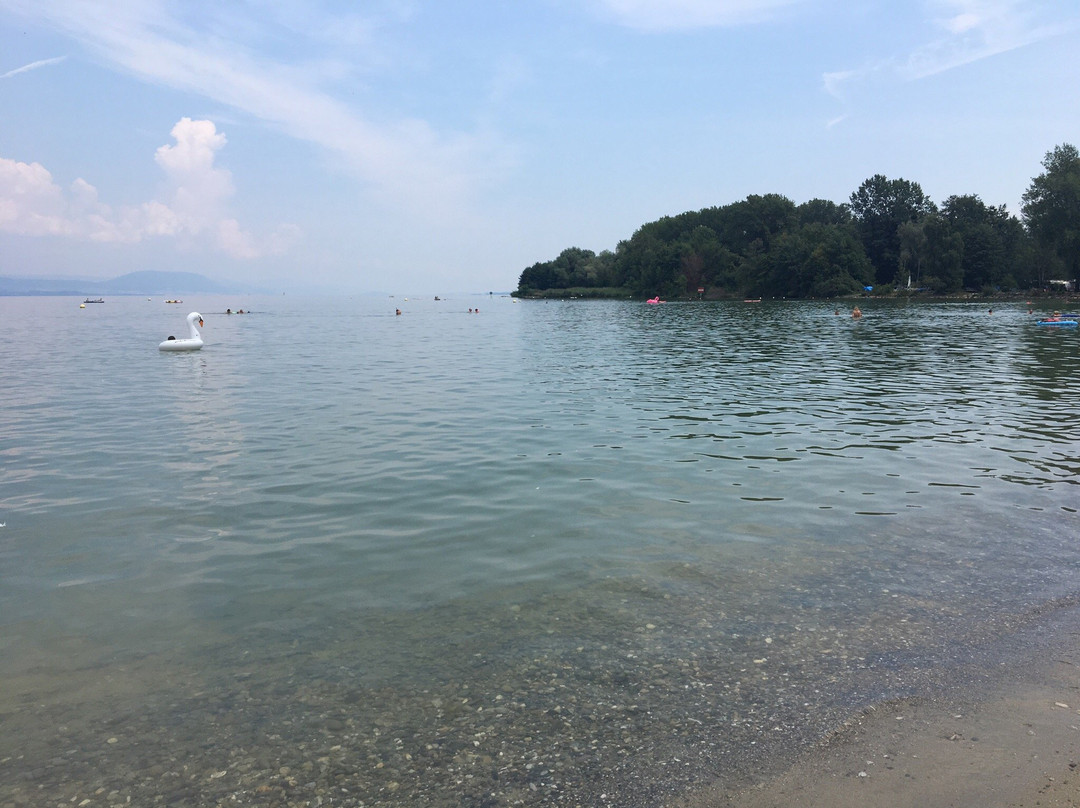 Plage des Pins-Yvonand必去景点