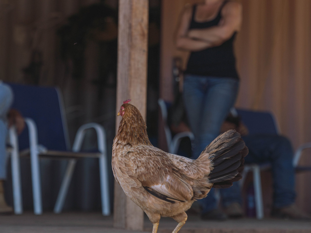 Ohikilolo-怀厄奈必去景点