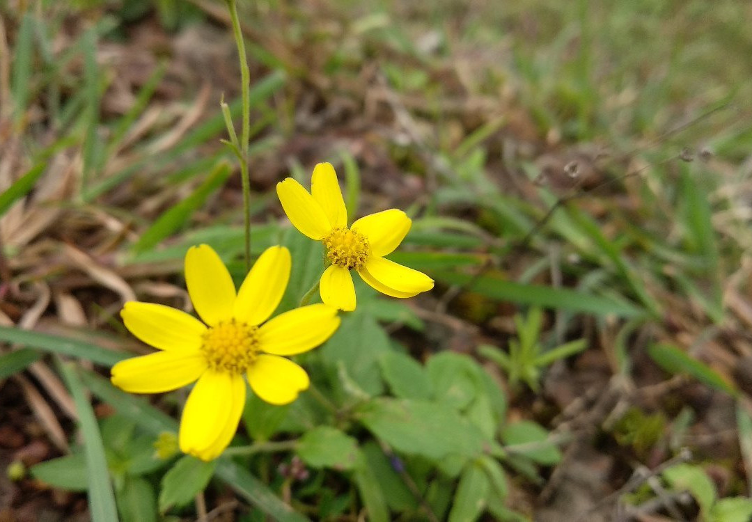 Masai Plateau-Injole必去景点