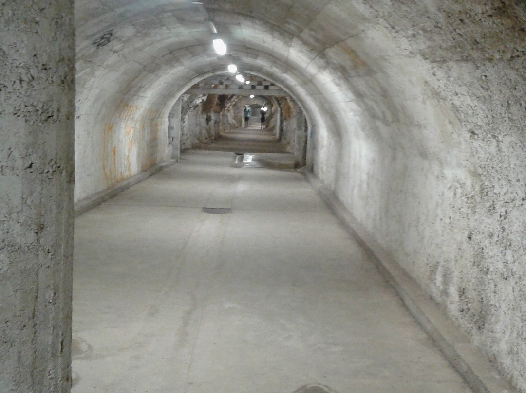 Rijeka Tunnel景点图片