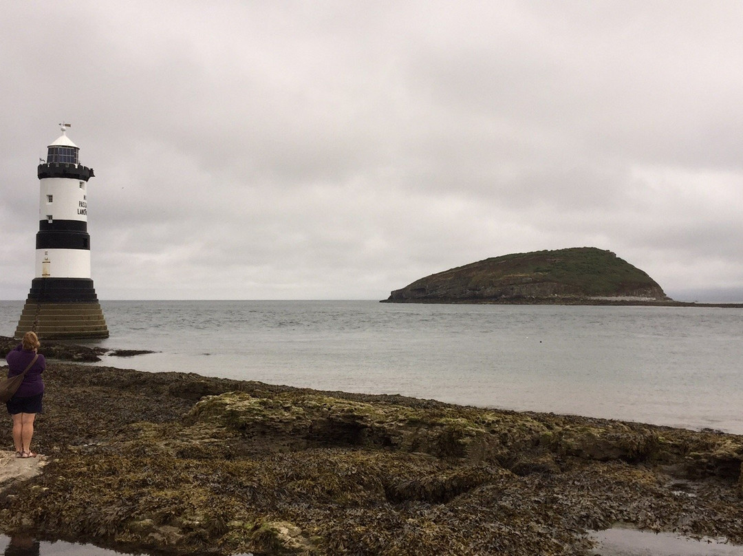 Puffin Island Lighthouse景点图片