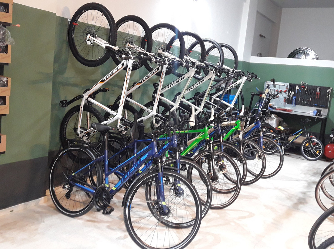 GEO Bicycling and More