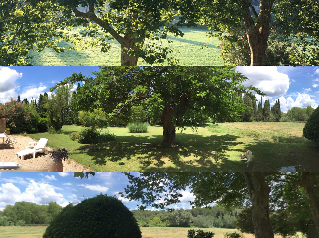 Domaine La Plantade主图