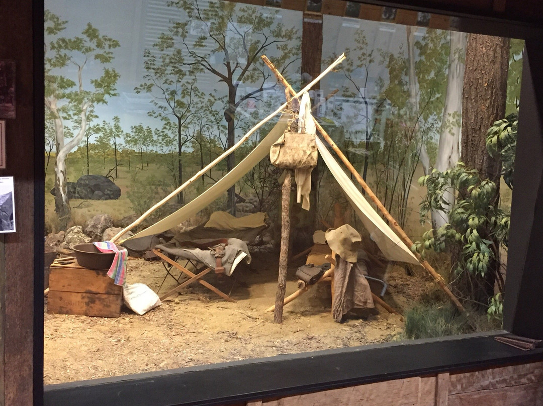 Wondai Visitor Information Centre and Timber Museum景点图片