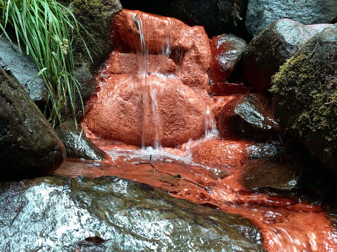 Source of Love - Educational and scenic trail景点图片