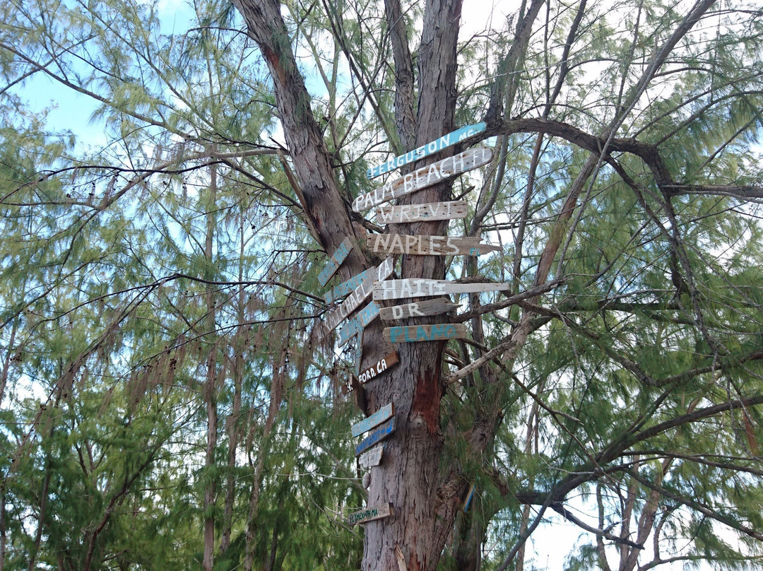 Indigenous Tours and Rentals-Kew必去景点