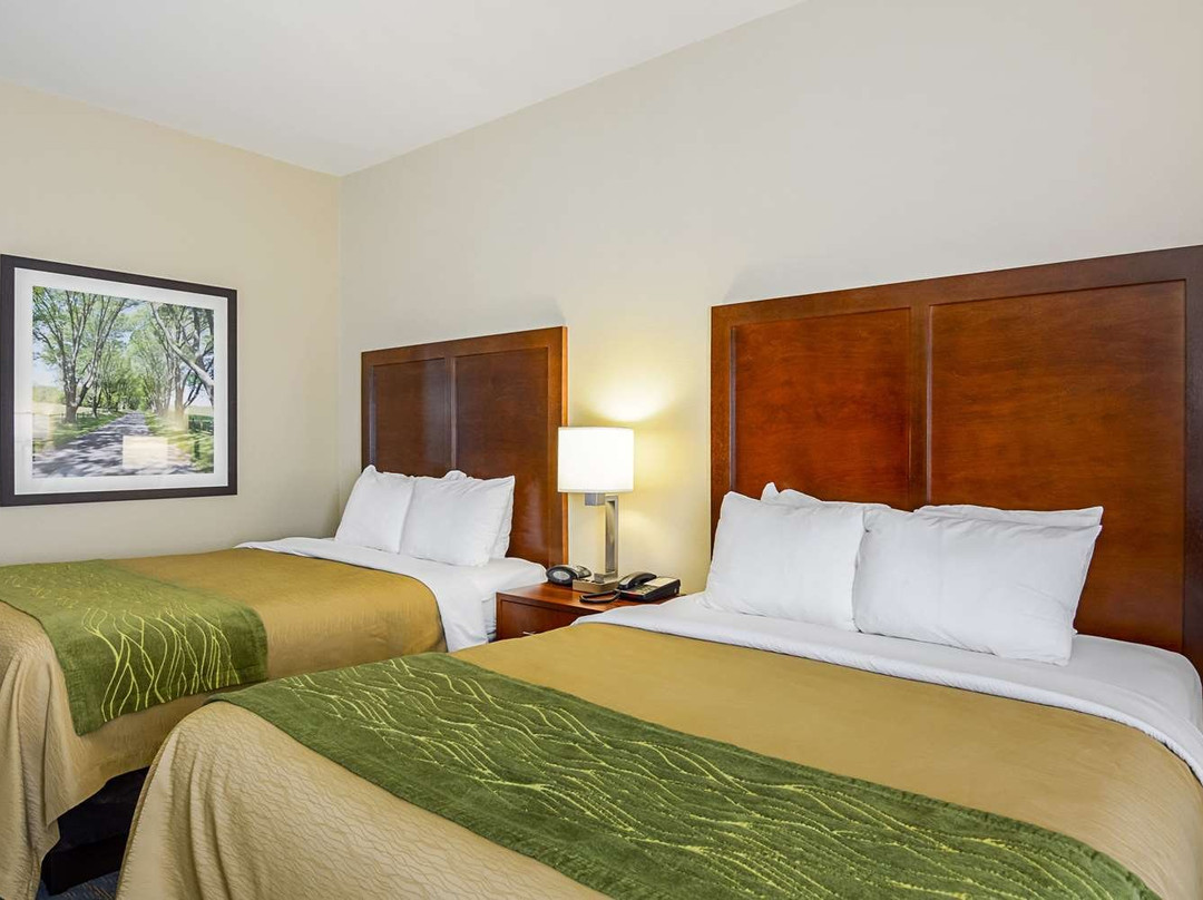 Comfort Inn Woodstock Shenandoah主图