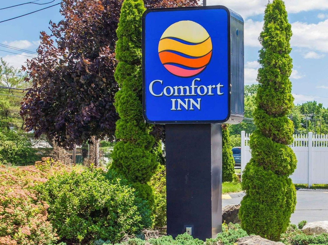 Spark by Hilton Guilford主图