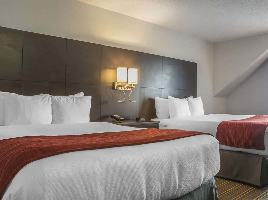 Quality Inn Leamington主图