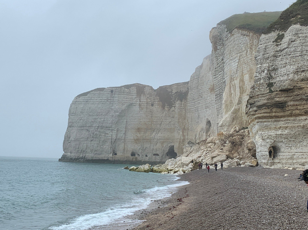 Entre Honfleur et Etretat