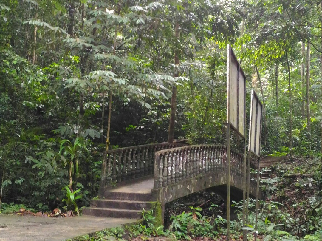 Sungai Tekala Recreation Forest景点图片
