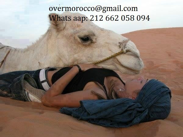 Over Moroccos Desert Tours-非斯必去景点