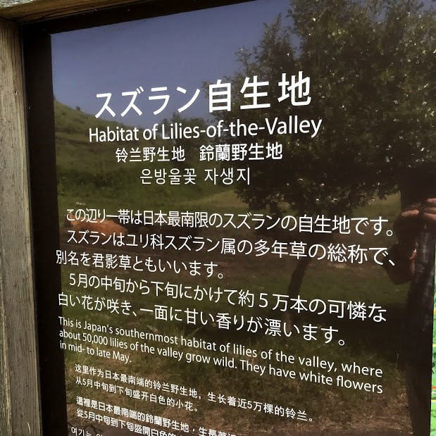 Suzuran Jikiji-阿苏市必去景点