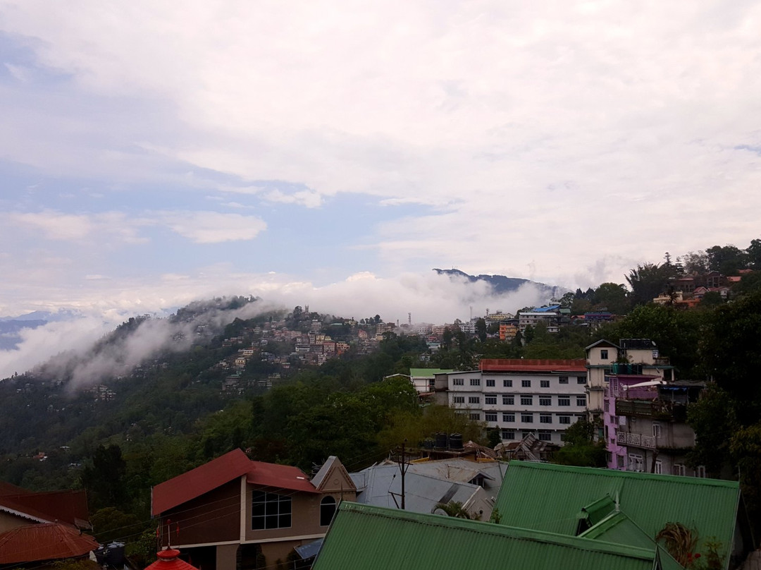 Hotel Mountain View主图