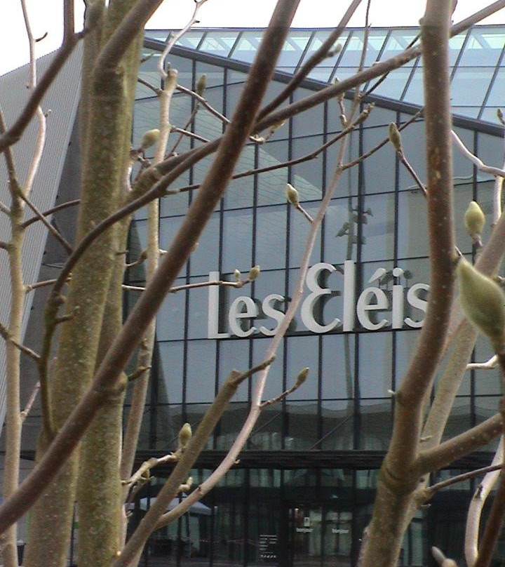 Centre Commercial Les Eléis景点图片