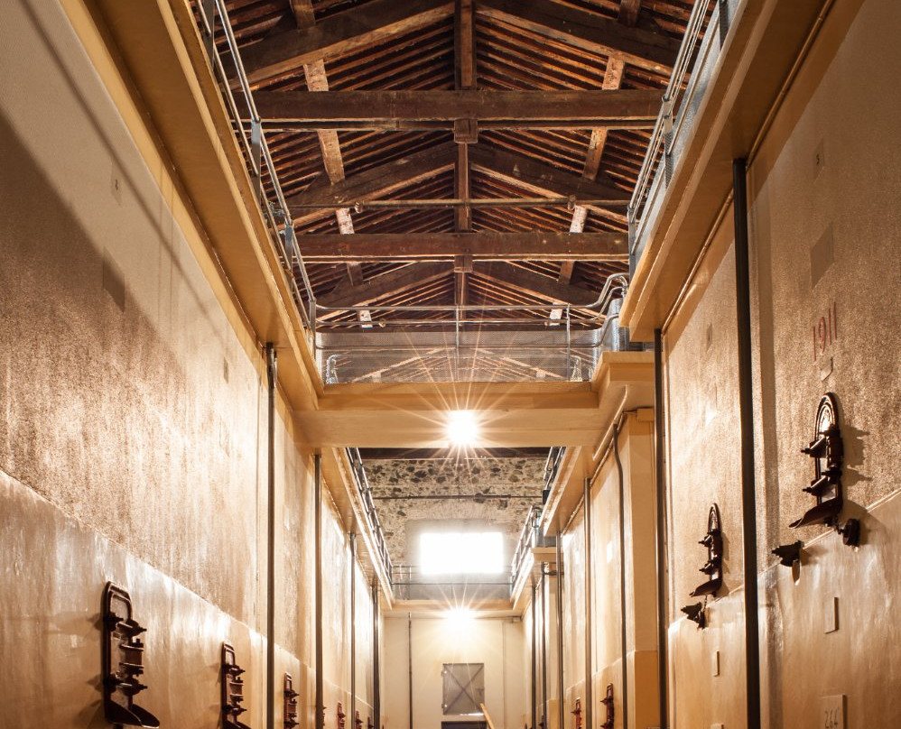 Arnaud de Villeneuve景点图片
