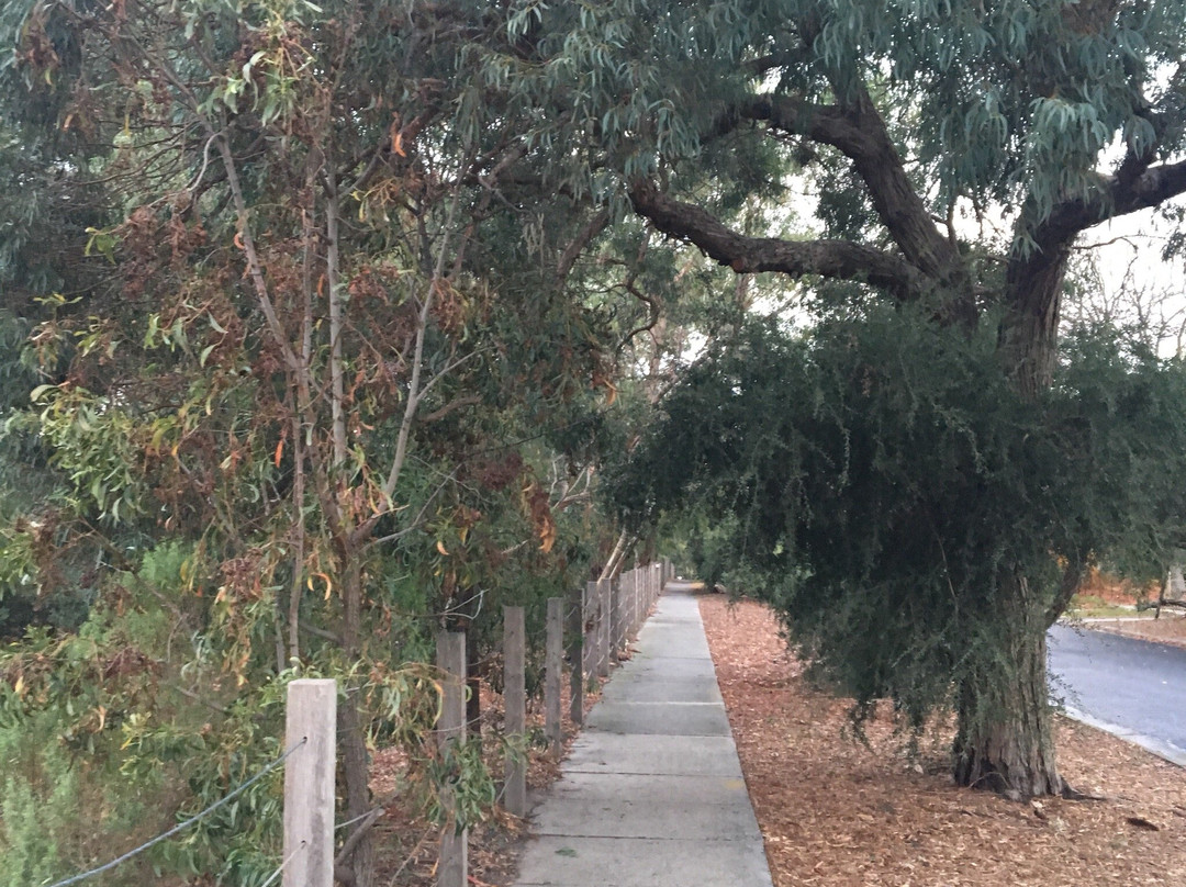 Merindah Park-Sandringham必去景点