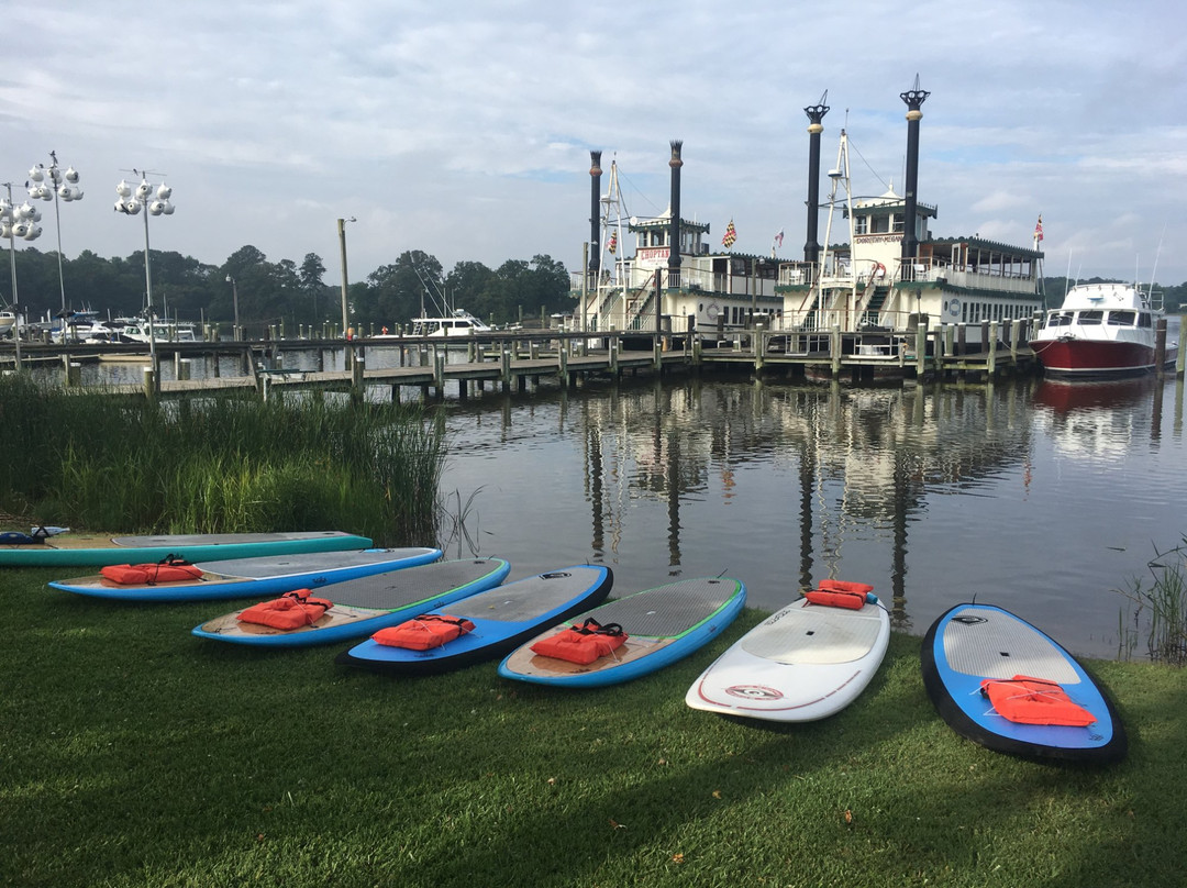 Over Board Paddle and Fitness景点图片