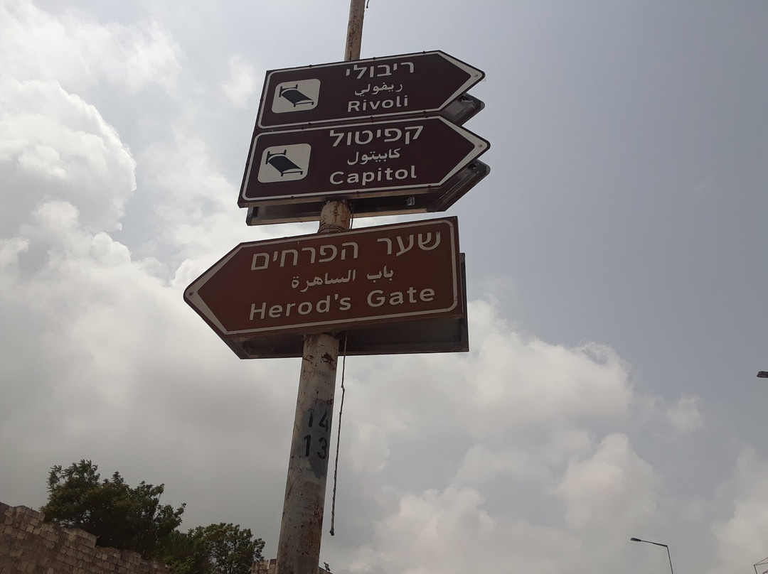 Herod's Gate-耶路撒冷必去景点