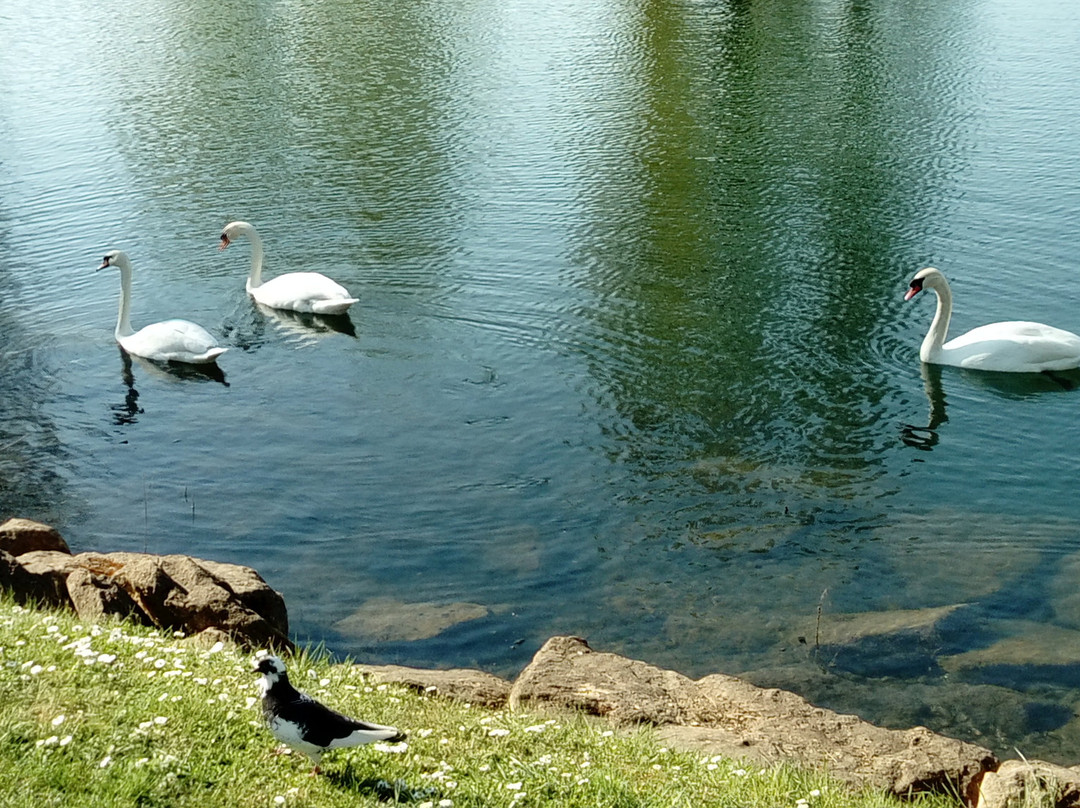 Best Hotel Hagondange / Amneville主图