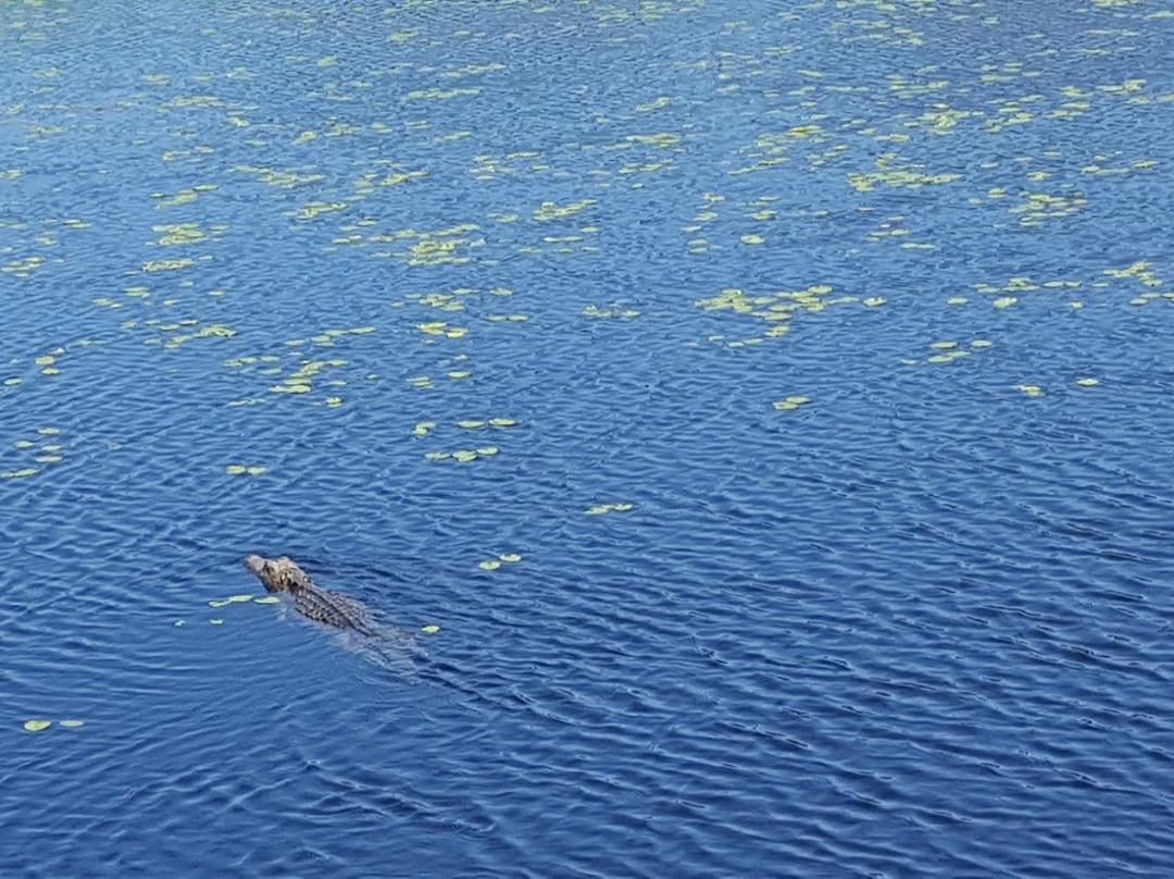 Cape Romain National Wildlife Refuge景点图片