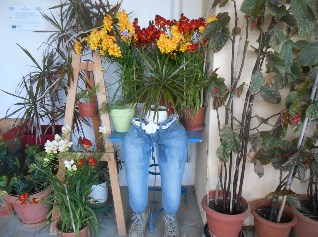 Anemona Villas主图