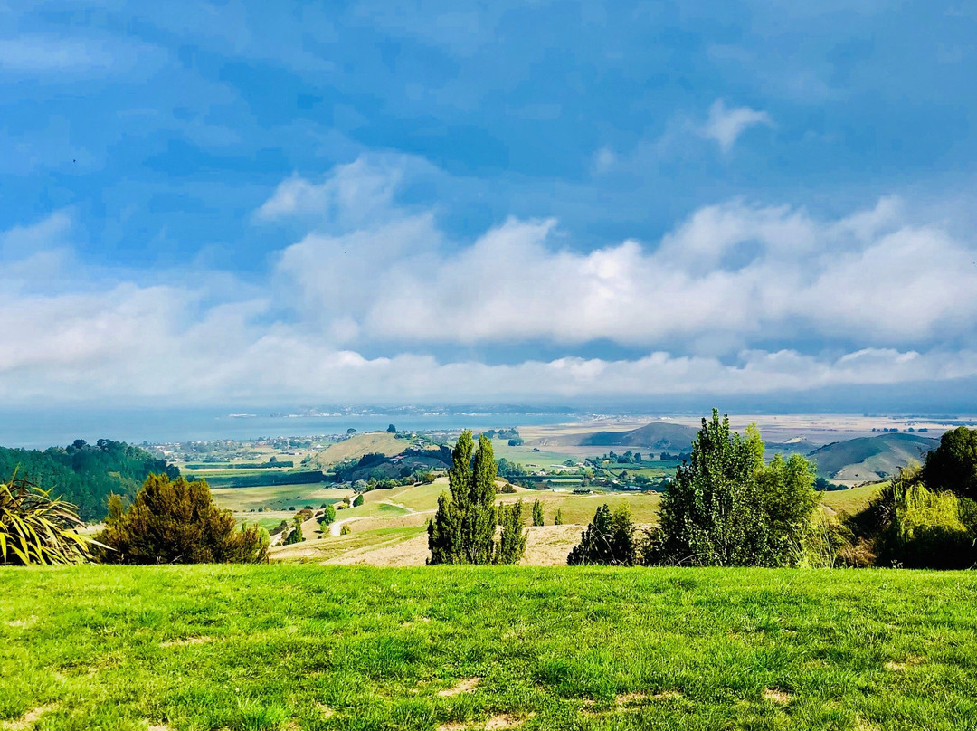 Tequila Sunrise Bed and Breakfast主图