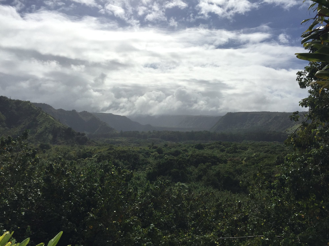 Wailua Valley State Wayside Park-库拉必去景点