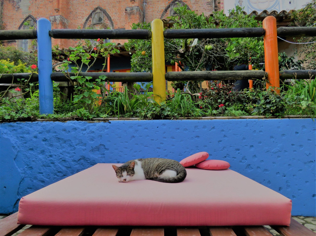 Las Cometas Hostel