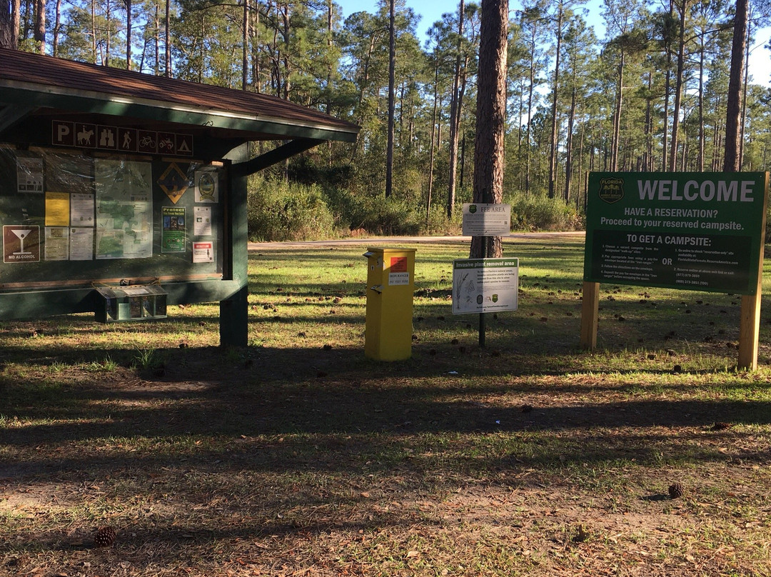 Cary State Forest-Bryceville必去景点