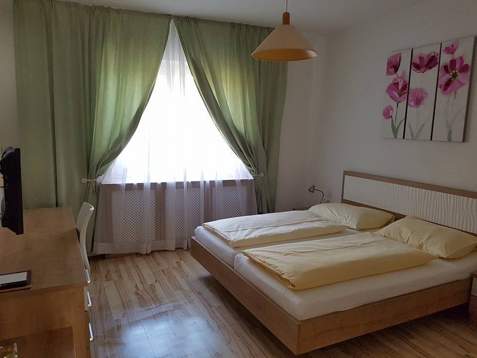 Hotel Lenau主图