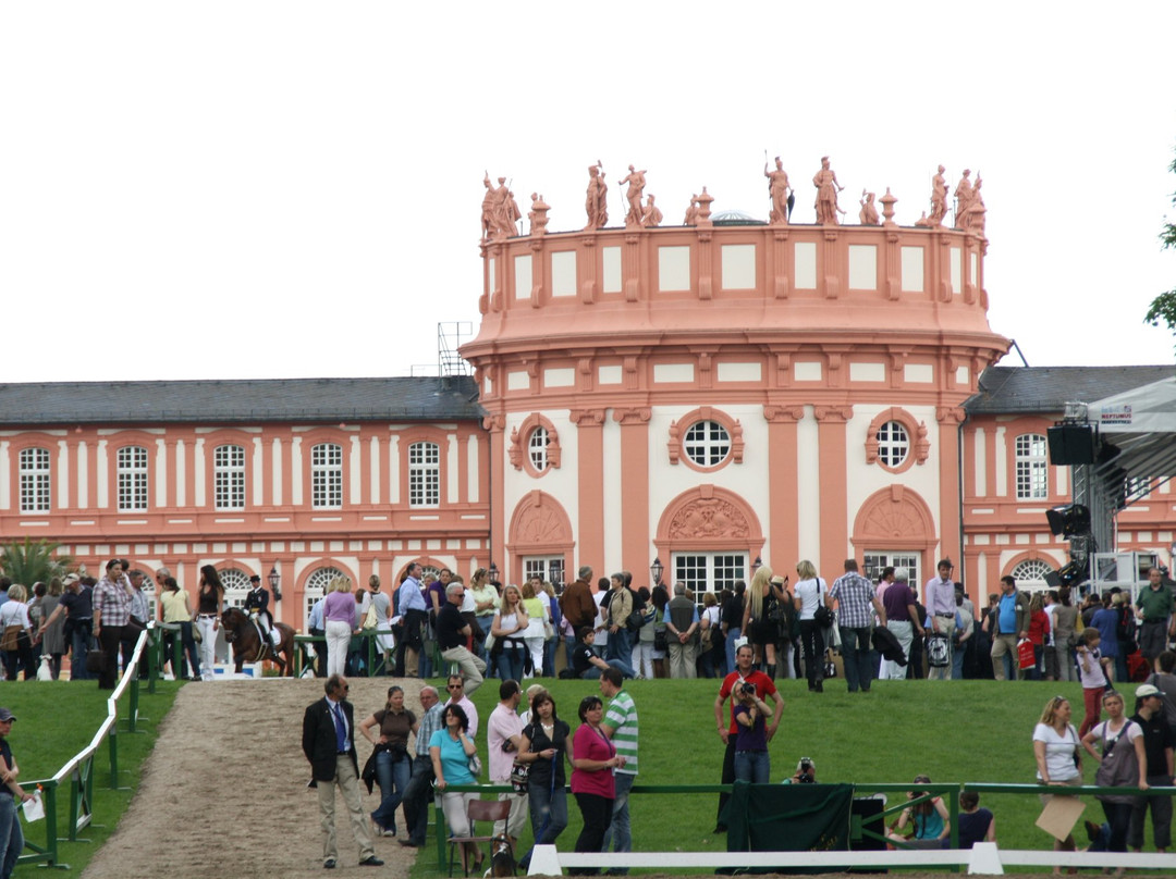 Biebricher Schlosspark-威斯巴登必去景点