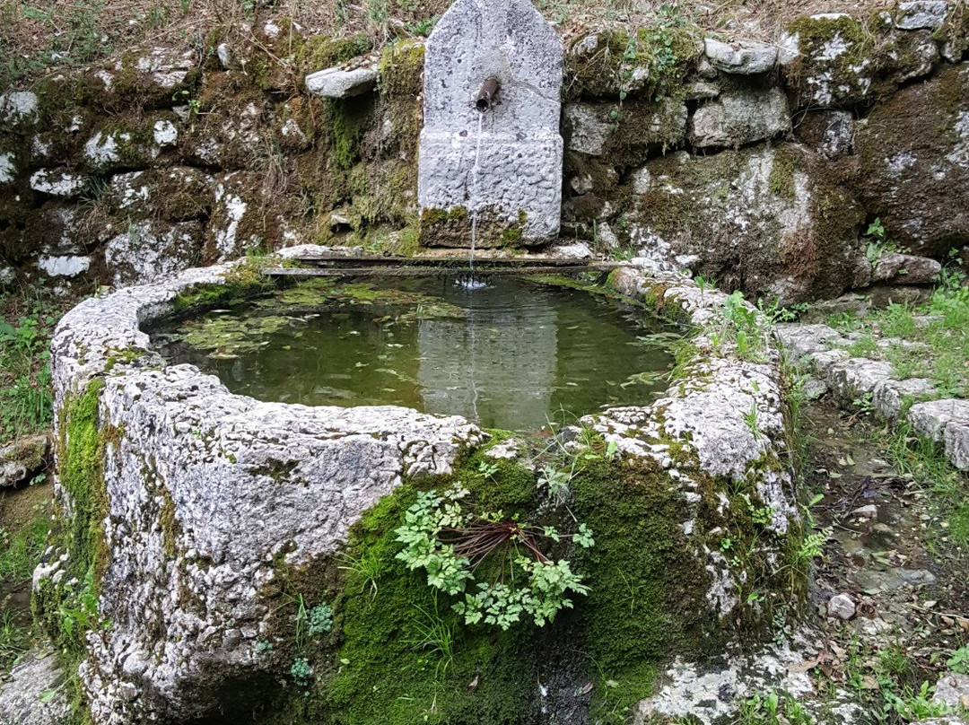Fontana secolare Bosplans景点图片