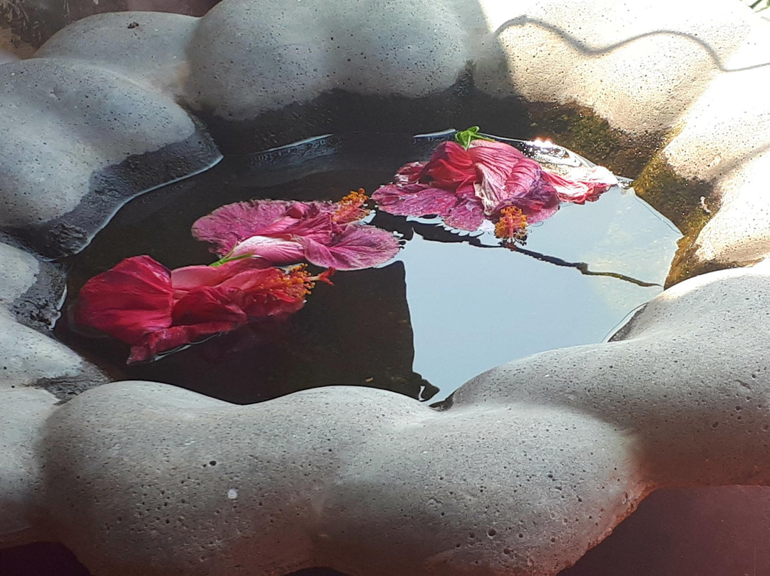 Sithnara Ayurveda Resort主图