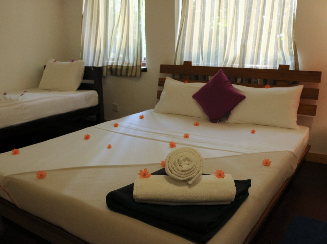 Pepper Tree Kandy主图