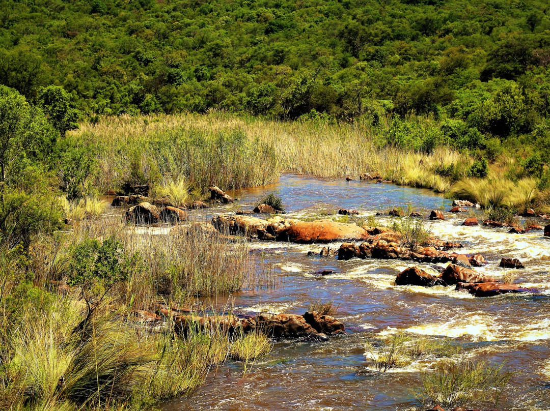 Jembisa Bush Home主图