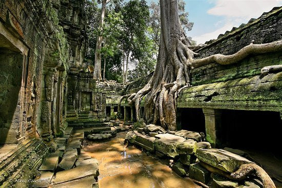 Cambodia Private Trails景点图片