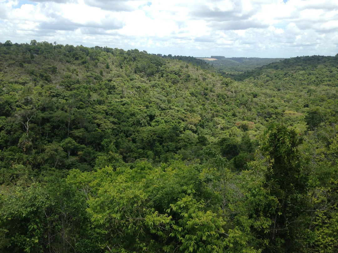 Parque Nacional do Pau Brasil-Porto Seguro必去景点